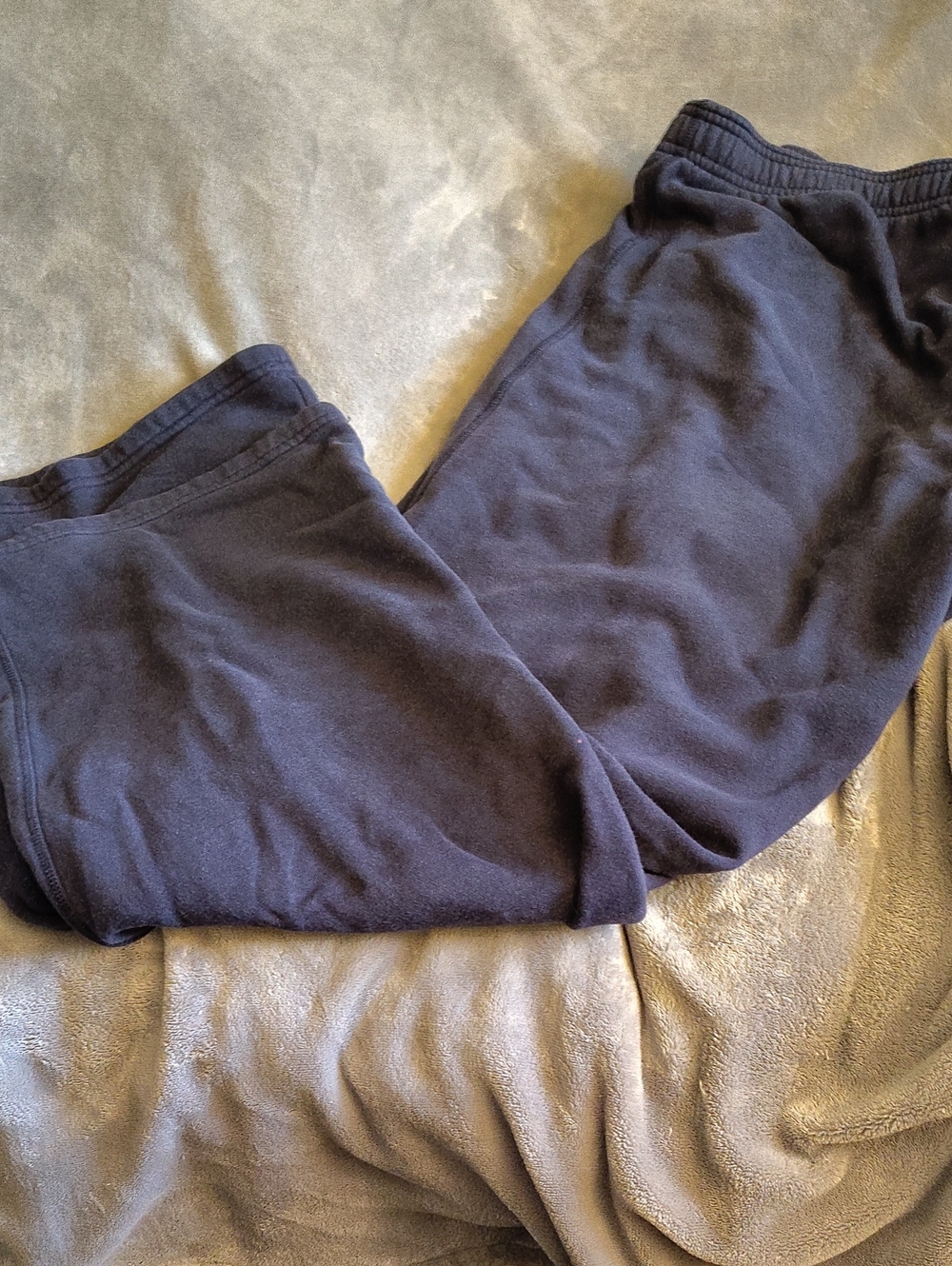 Champion Blue Fleece Sweatpants